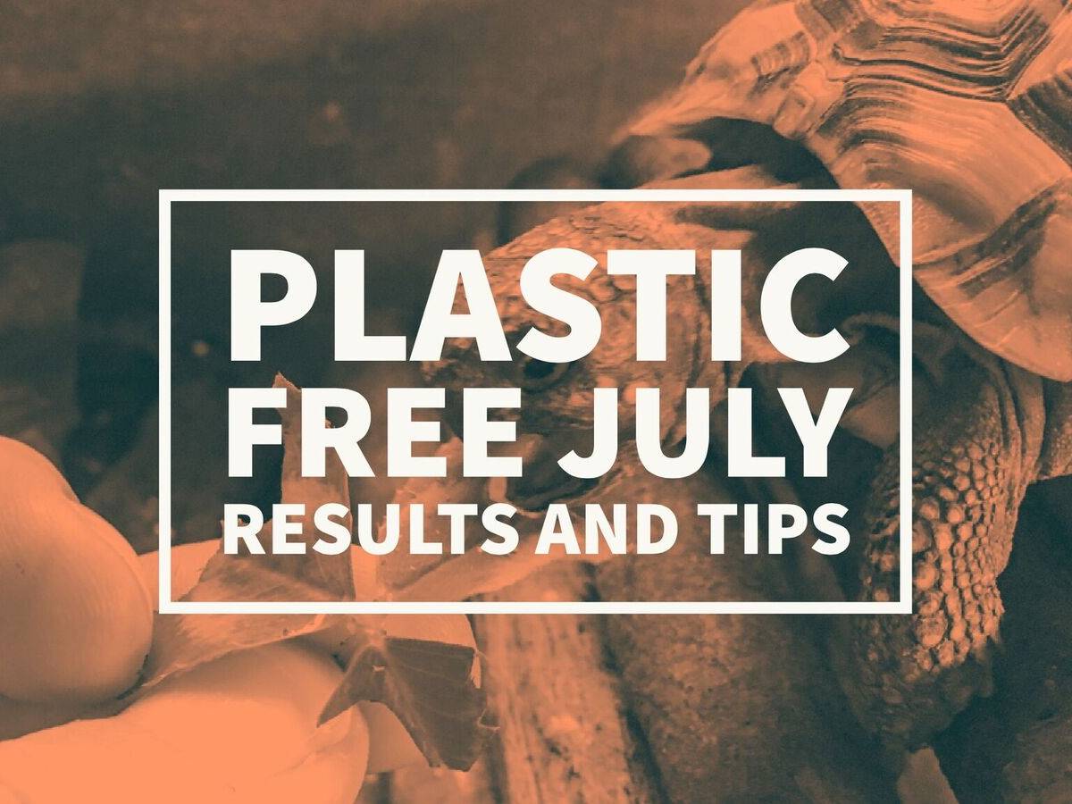 Plastic Free July