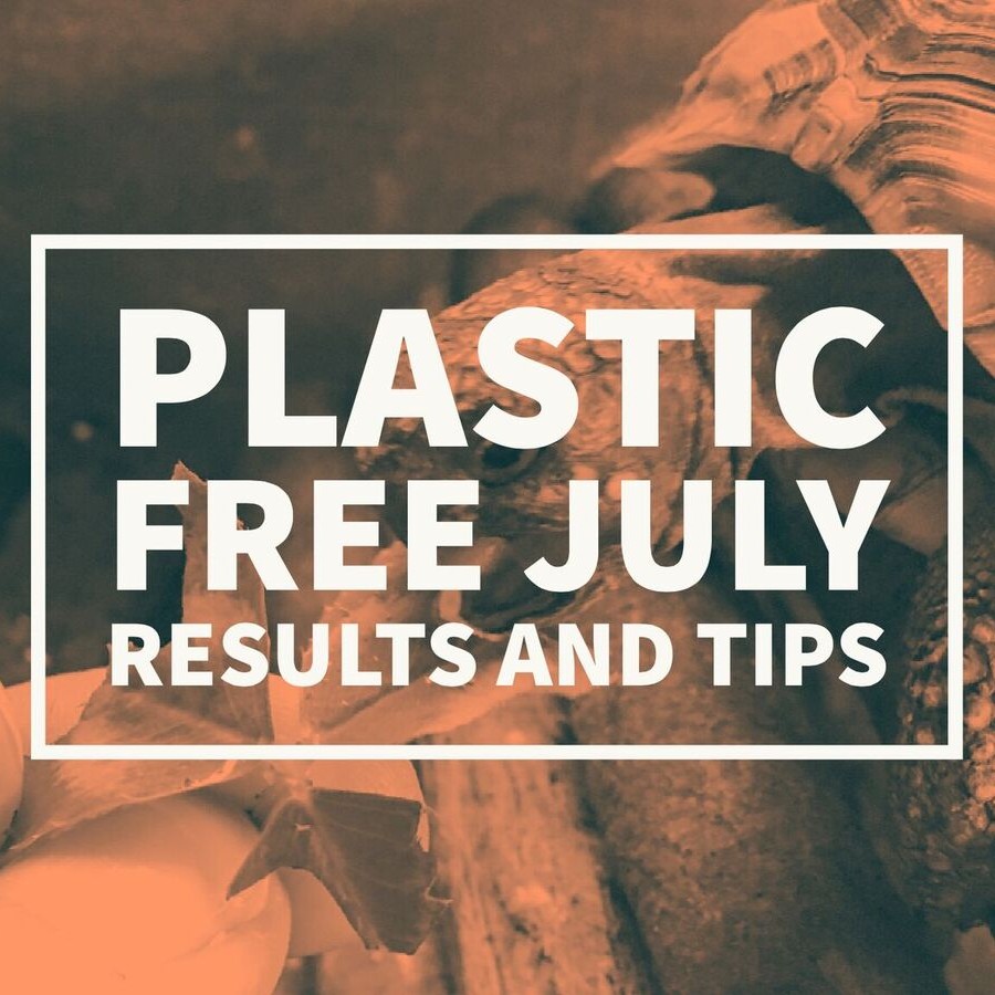 Plastic Free July