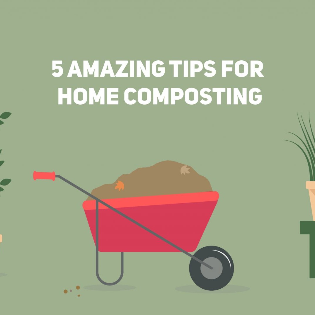 Vegware US's 5 amazing tips for home composting